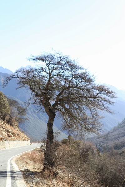 �����й� (16).JPG