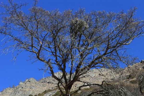 �����й� (17).JPG