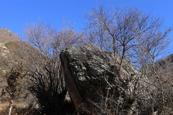 �����й� (18).JPG