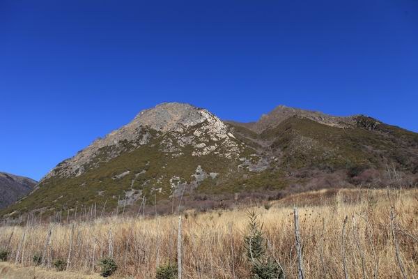 �����й� (19).JPG