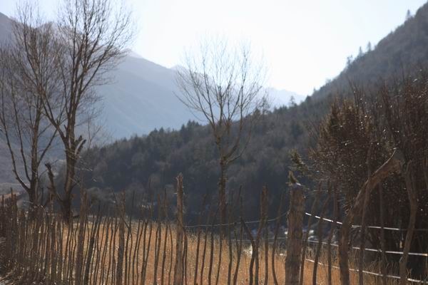 �����й� (20).JPG