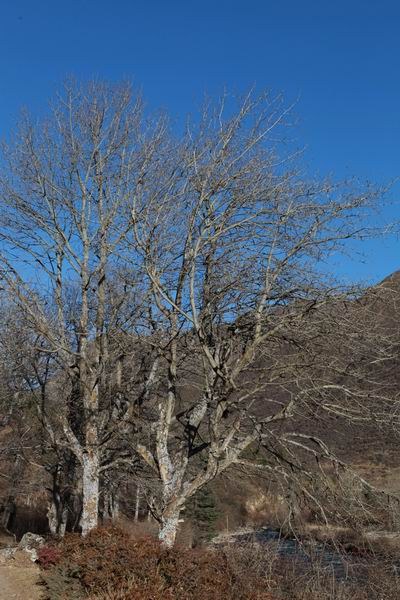 �����йȵڶ��� (1).JPG