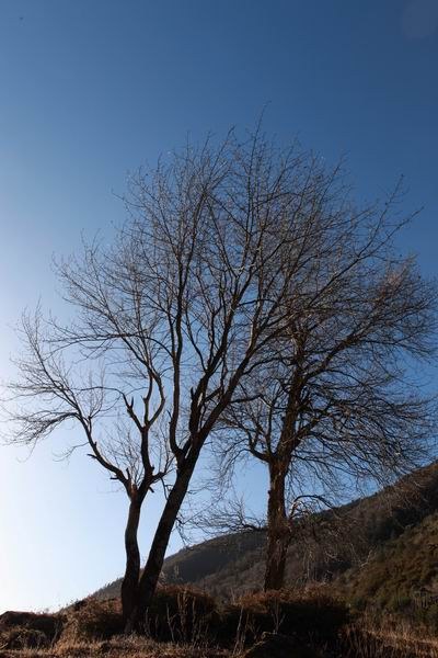 �����йȵڶ��� (2).JPG