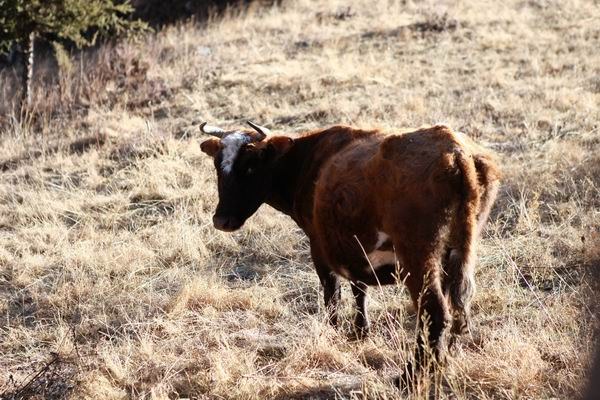 �����йȵڶ��� (4).JPG