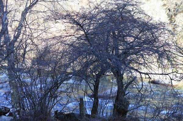 �����йȵڶ��� (6).JPG