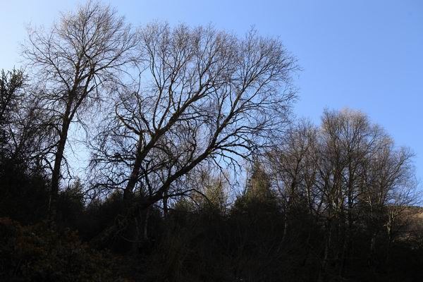 �����йȵڶ��� (7).JPG