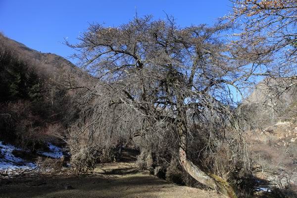 �����йȵڶ��� (8).JPG