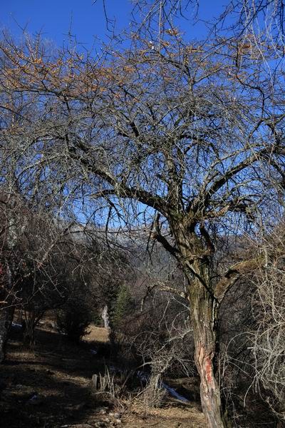 �����йȵڶ��� (10).JPG