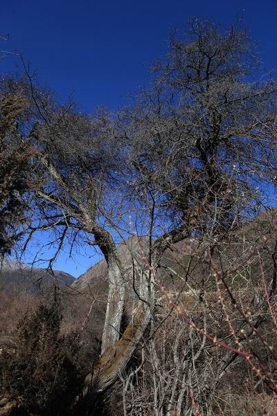 �����йȵڶ��� (12).JPG