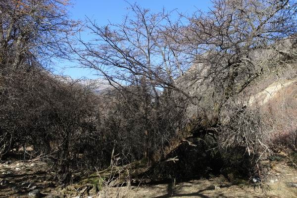 �����йȵڶ��� (13).JPG