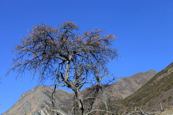 �����йȵڶ��� (15).JPG