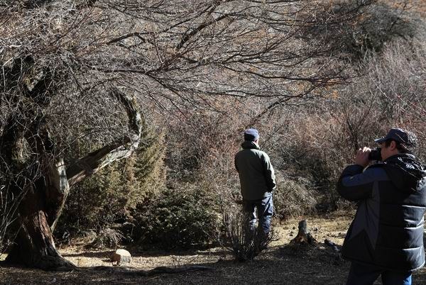 �����йȵڶ��� (16).JPG