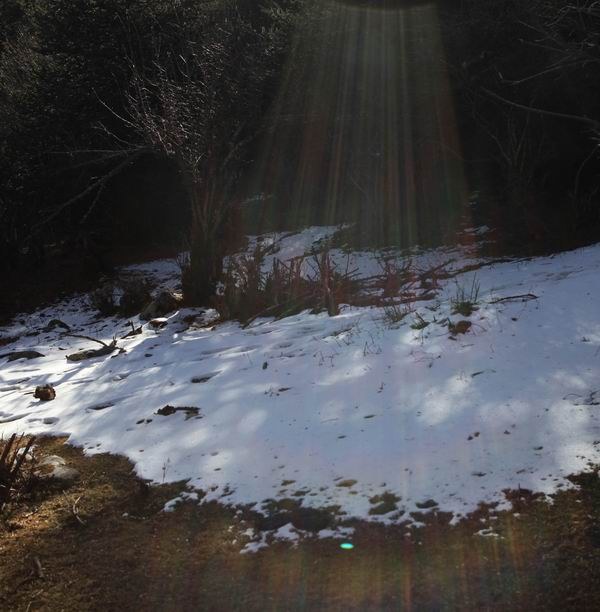 �����йȵڶ��� (18).jpg