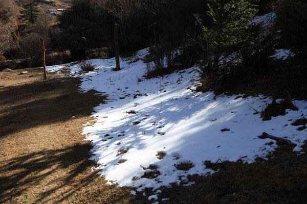 �����йȵڶ��� (19).JPG