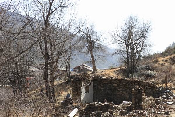 �����йȵڶ��� (21).JPG