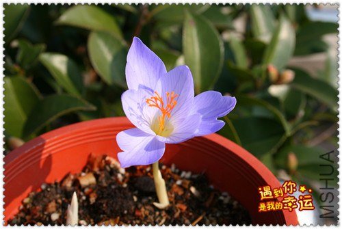 ��Ƭ 077_����.jpg