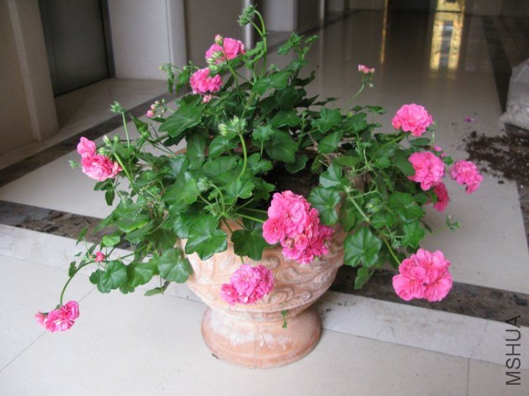 ͼ2���մ�2�����軻����������