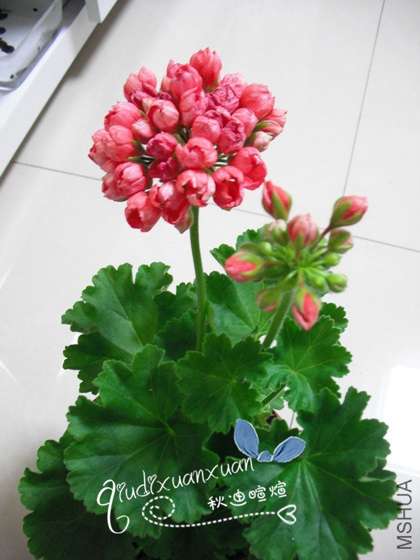 ��Ƭ 333_����.jpg