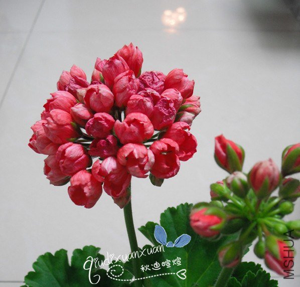 ��Ƭ 334_����.jpg