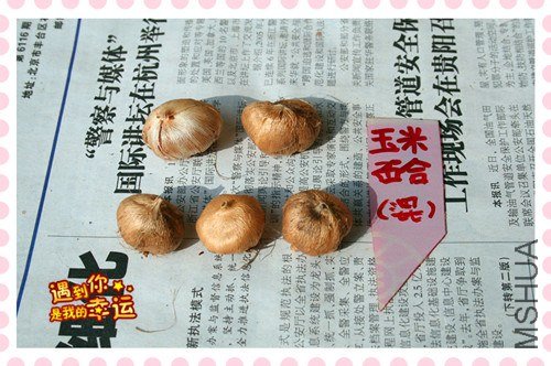 ��Ƭ 029_����.jpg