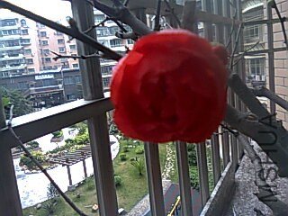 ���ڿ����ˣ���Ȼ����Ǩ������Ҳ����