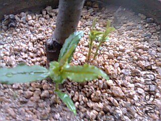 ���Ѿ�����һ�ã������ø����Ҫ��Ҫ�����ǣ���������鰡