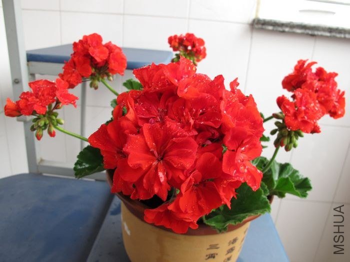 nEO_IMG_0510 076.jpg