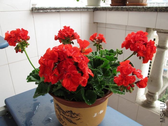 nEO_IMG_0510 075.jpg