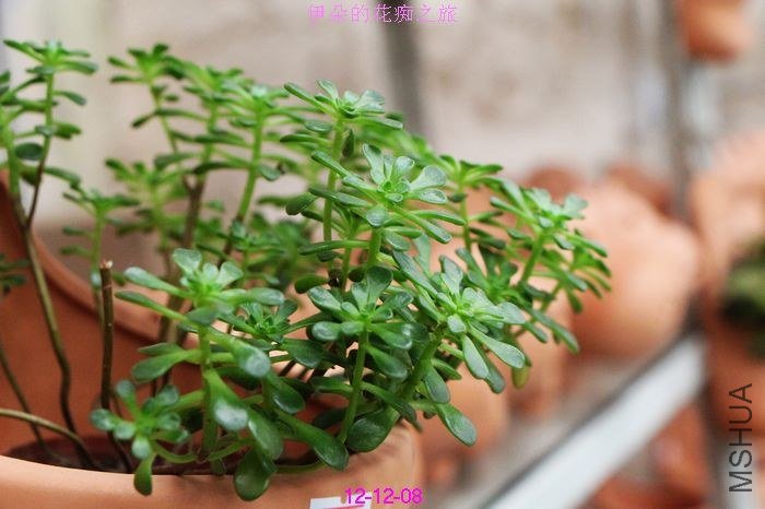 nEO_IMG_��Ƭ 742.jpg