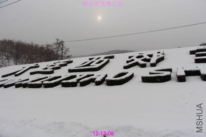 nEO_IMG_��Ƭ 795.jpg