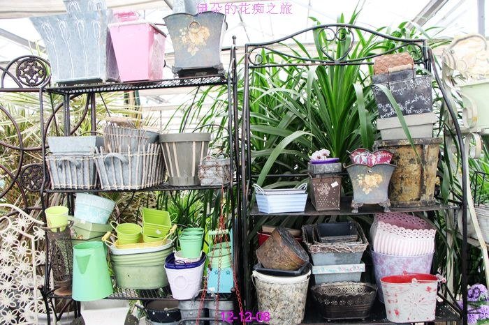 nEO_IMG_��Ƭ 805.jpg