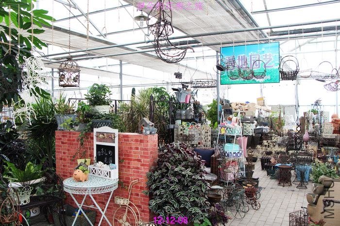 nEO_IMG_��Ƭ 800.jpg