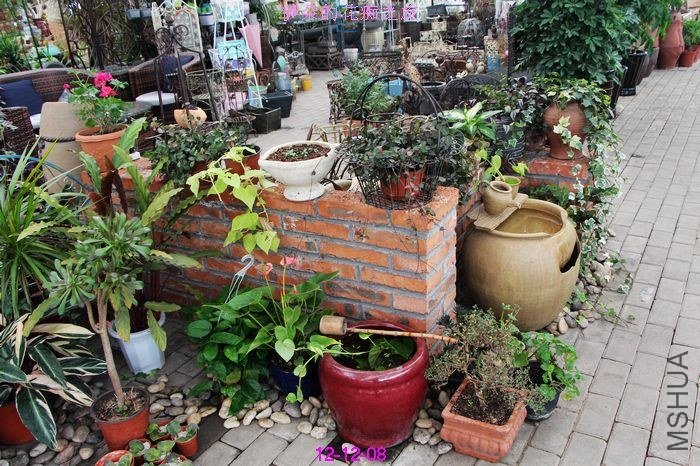 nEO_IMG_��Ƭ 802.jpg