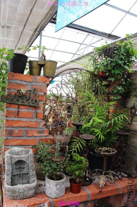 nEO_IMG_��Ƭ 841.jpg