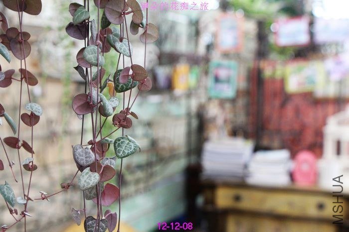 nEO_IMG_��Ƭ 843.jpg