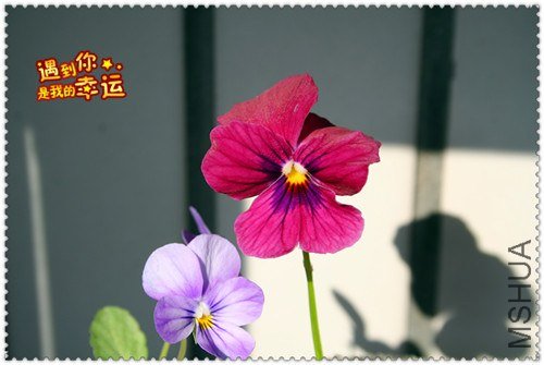 ��Ƭ 098_����.jpg