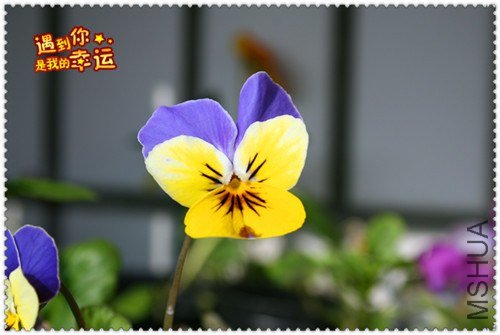 ��Ƭ 097_����.jpg