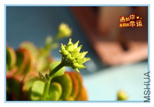 ��Ƭ 064_����.jpg