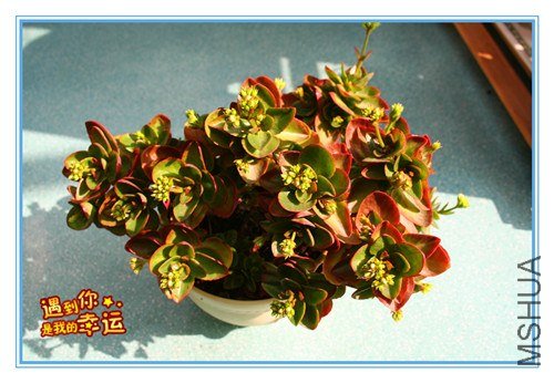 ��Ƭ 056_����.jpg