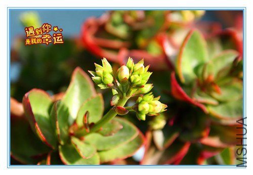 ��Ƭ 059_����.jpg