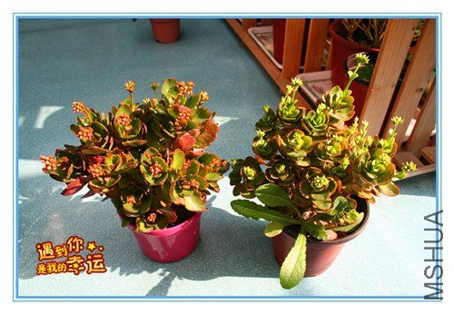 ��Ƭ 061_����.jpg