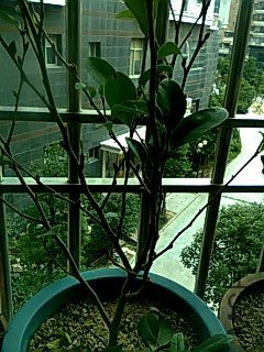 ��Ƭ0140.jpg