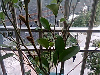 ��Ƭ0141.jpg