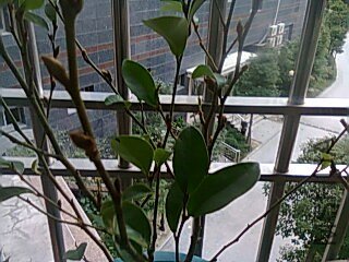 ��Ƭ0142.jpg