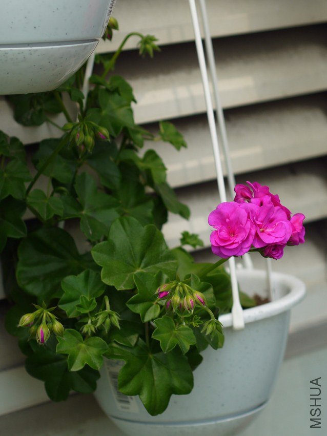 ��һ����