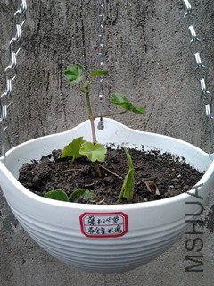2012-12-01 08.03.10_����.jpg