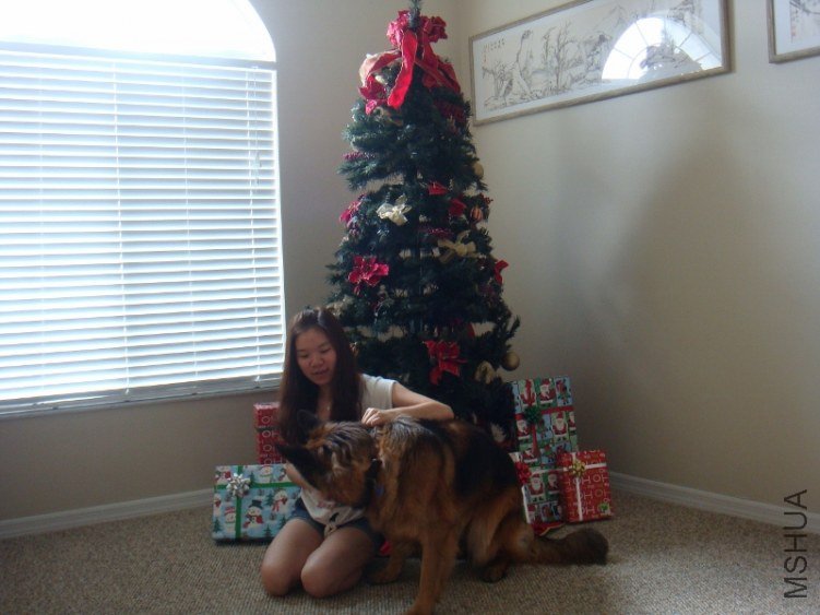 DSC07273 (800x600).jpg