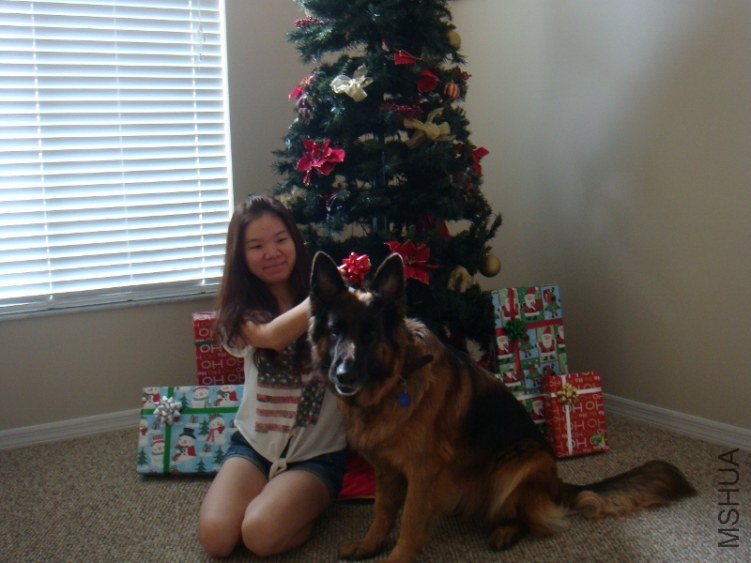 DSC07274 (800x600).jpg