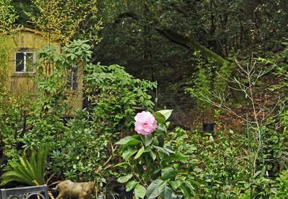_DSC8200_SS_edited-1.jpg
