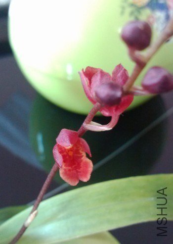QQ��ͼ20121212224441.jpg
